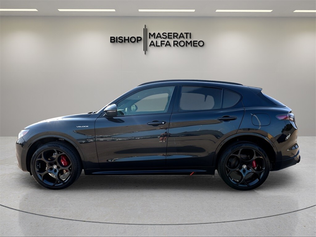 2025 Alfa Romeo Stelvio Base photo 4