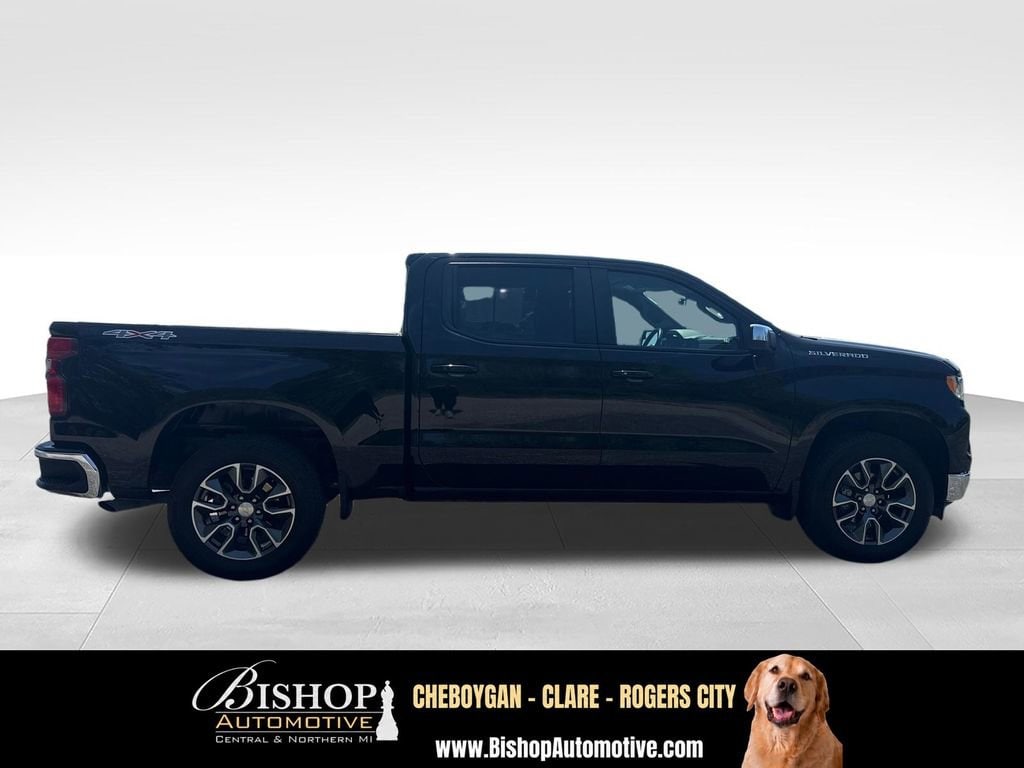 2024 Chevrolet Silverado 1500 LT (2FL) image 12