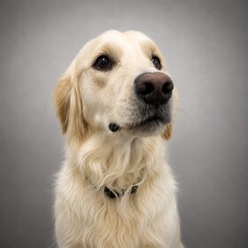 Staff member TUCKER from ID_add00c