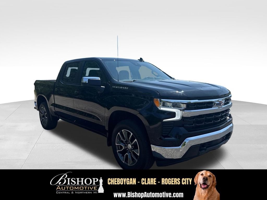 2024 Chevrolet Silverado 1500 LT (2FL) image 13