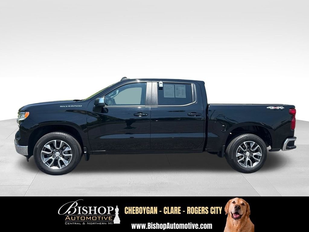 2024 Chevrolet Silverado 1500 LT (2FL) image 8
