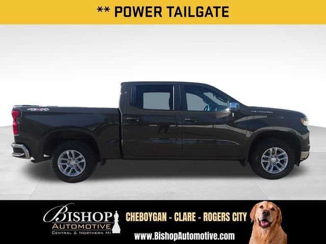 2023 Chevrolet Silverado 1500 LT (2FL) image 14