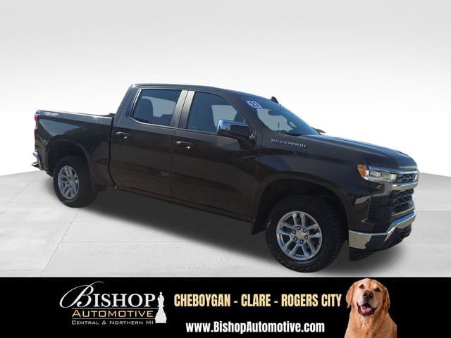 2023 Chevrolet Silverado 1500 LT (2FL) image 15