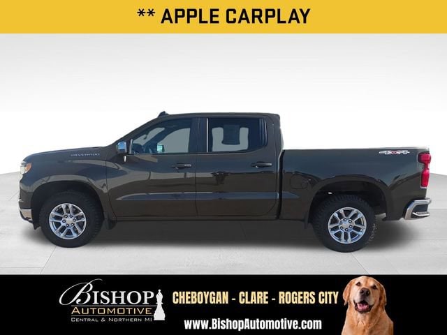 2023 Chevrolet Silverado 1500 LT (2FL) image 10