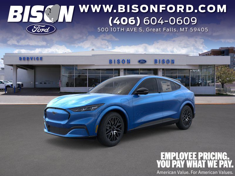 2025 Ford Mustang-Mach-e Premium's photo