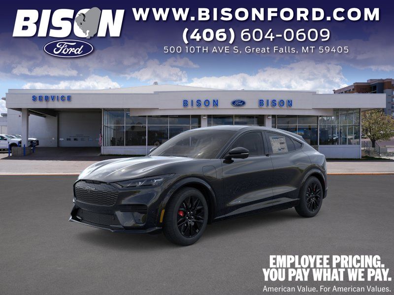 2025 Ford Mustang-Mach-e Premium's photo