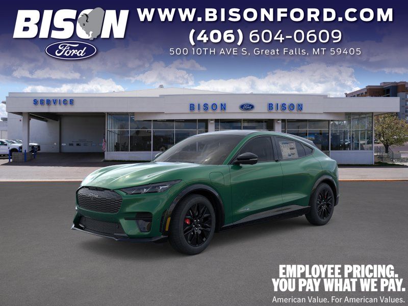 2025 Ford Mustang-Mach-e Premium's photo