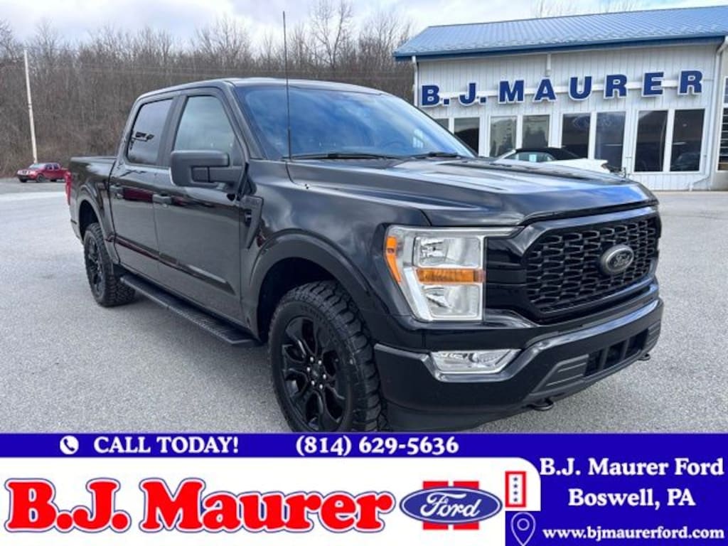 Used 2022 Ford F-150 XL Truck