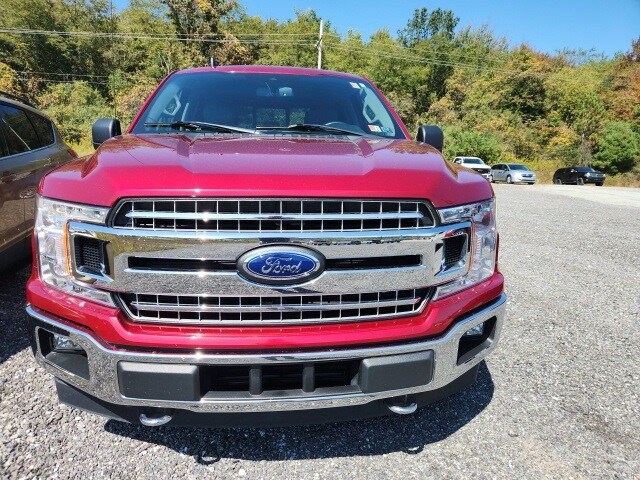 2019 Ford F-150 photo 2
