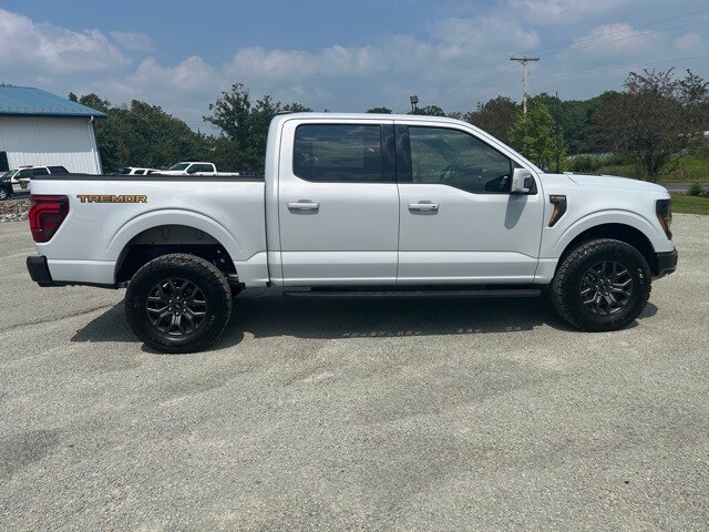 2025 Ford F-150 Tremor photo 2