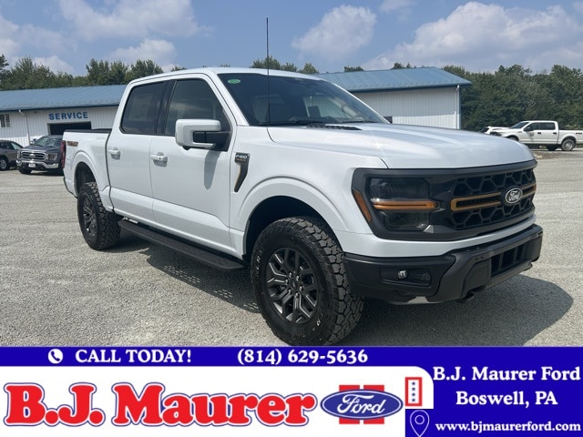 2025 Ford F-150 Tremor's photo