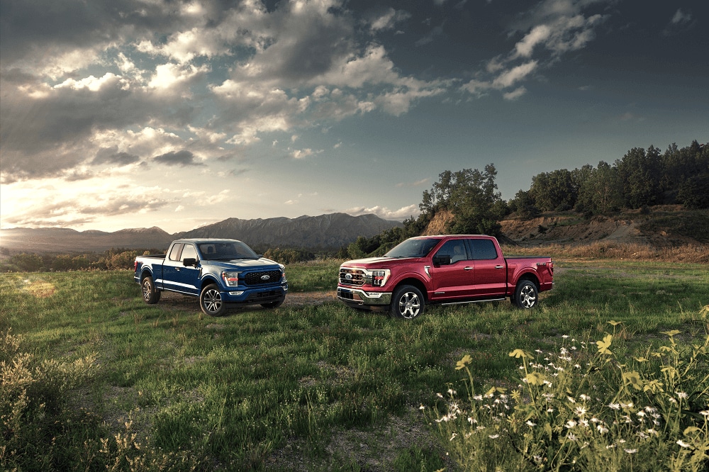 Ford F-150 Maintenance