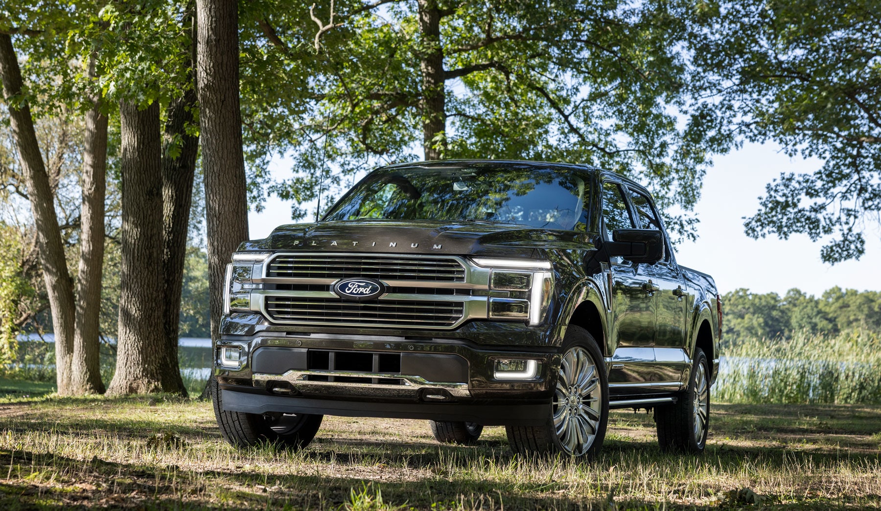 Ford F-150 Platinum