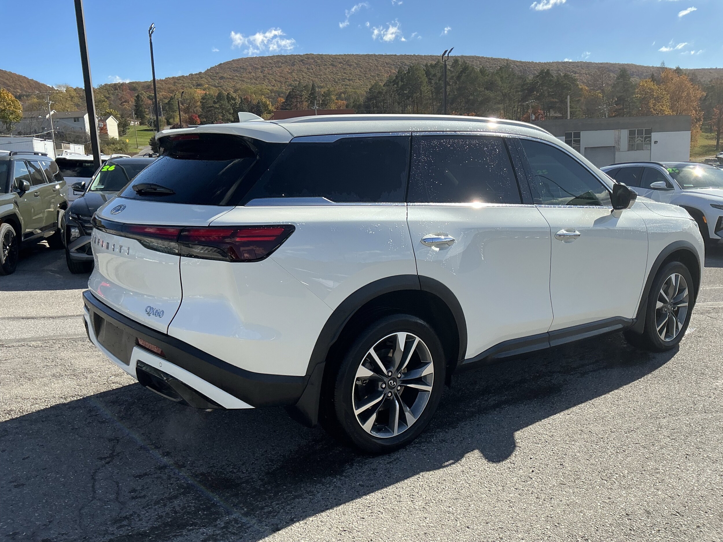 2025 Infiniti QX60 Luxe photo 3