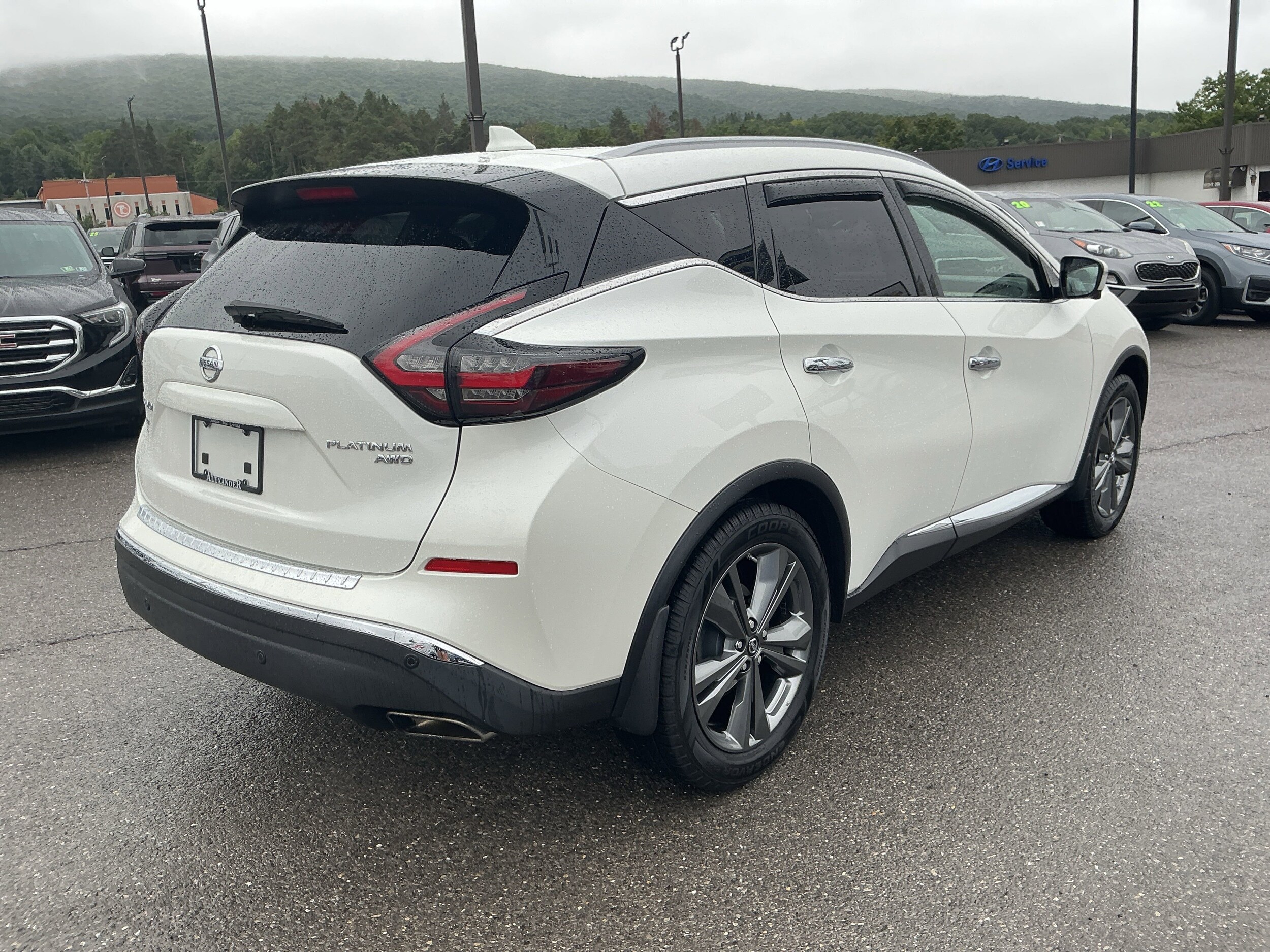 2019 Nissan Murano Platinum photo 3