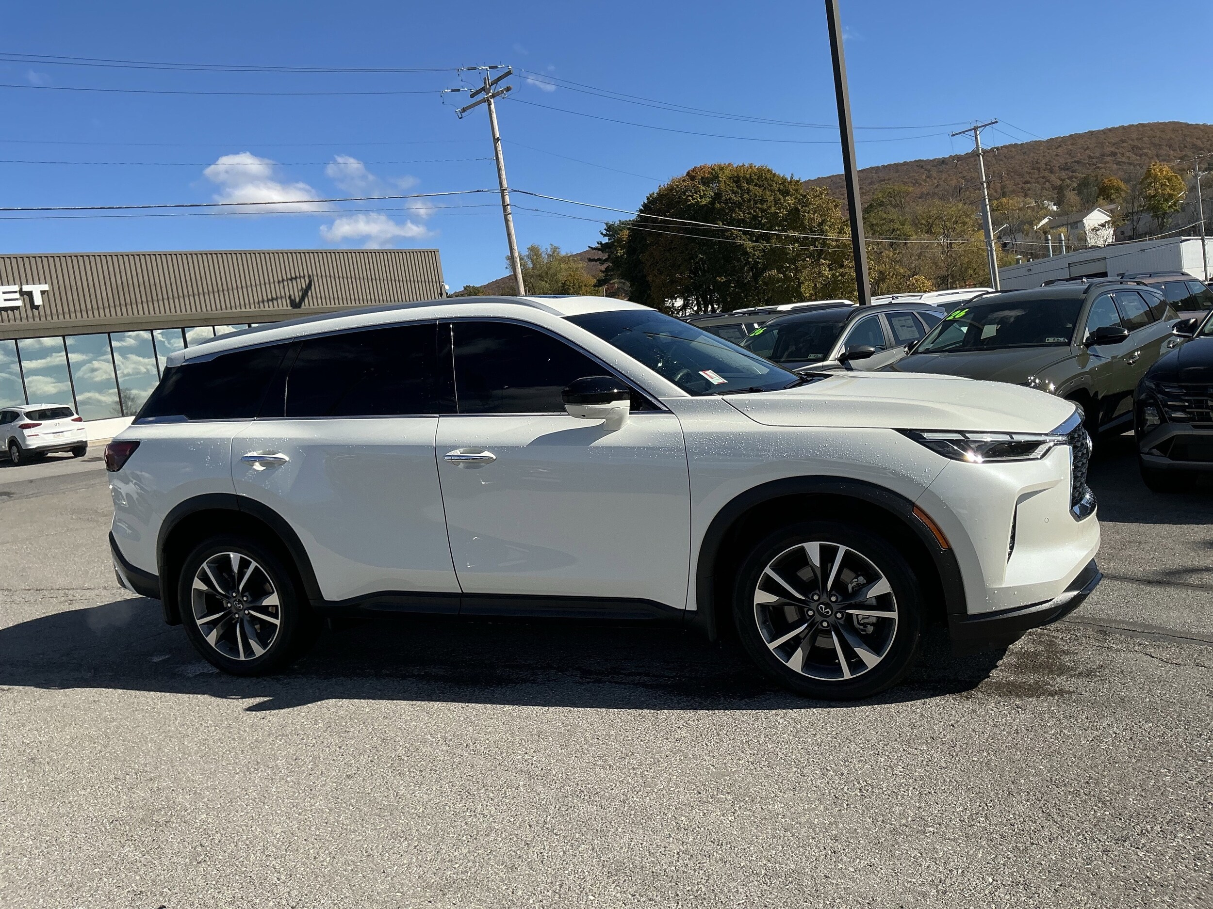 2025 Infiniti QX60 Luxe photo 2