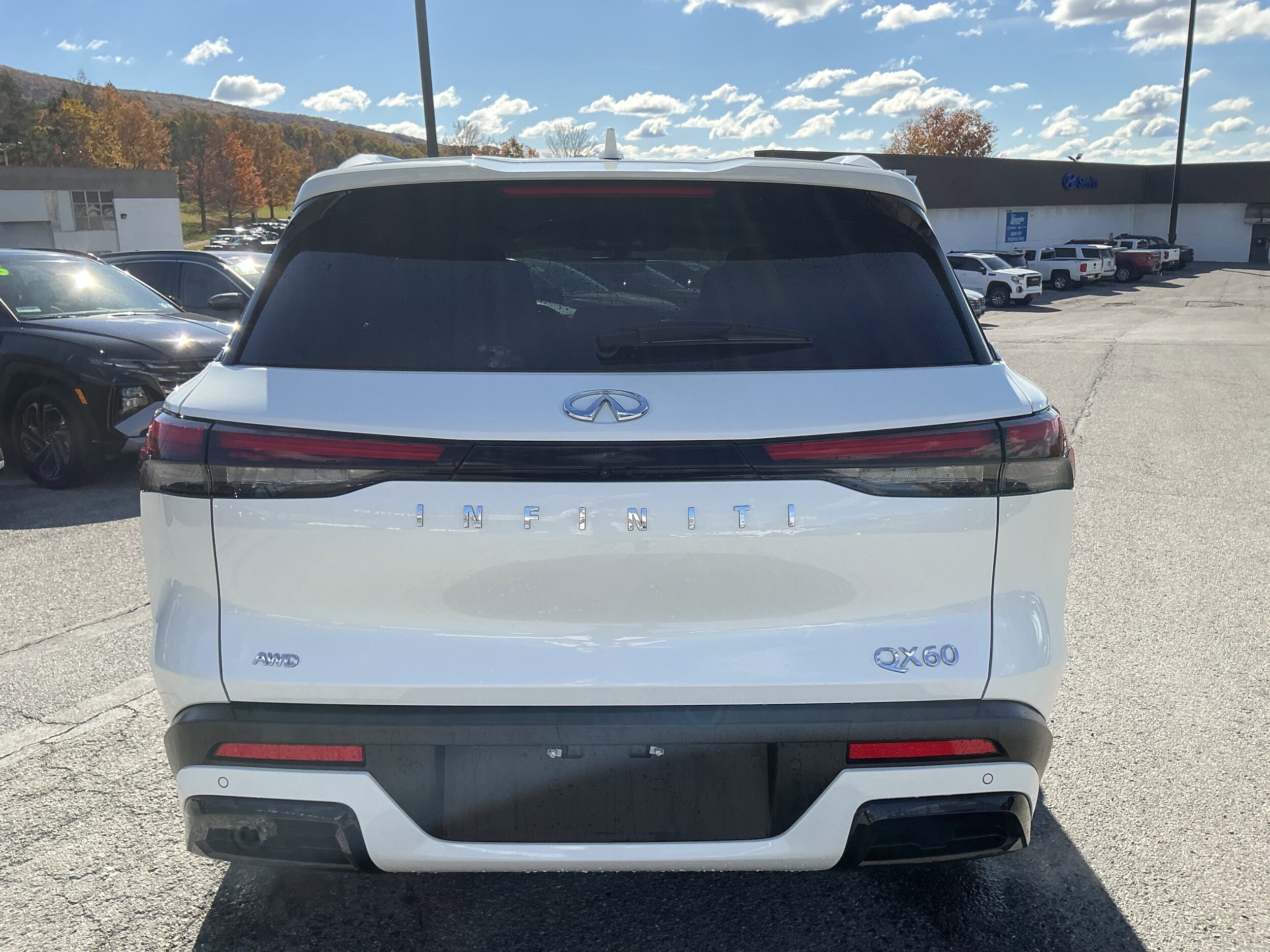 2025 Infiniti QX60 Luxe photo 4