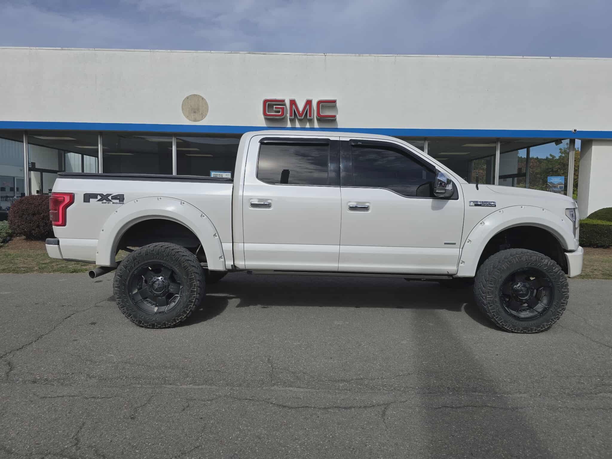 2017 Ford F-150 Platinum photo 2