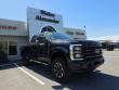 Used 2024 Ford Super Duty F-250 SRW  Truck Crew Cab