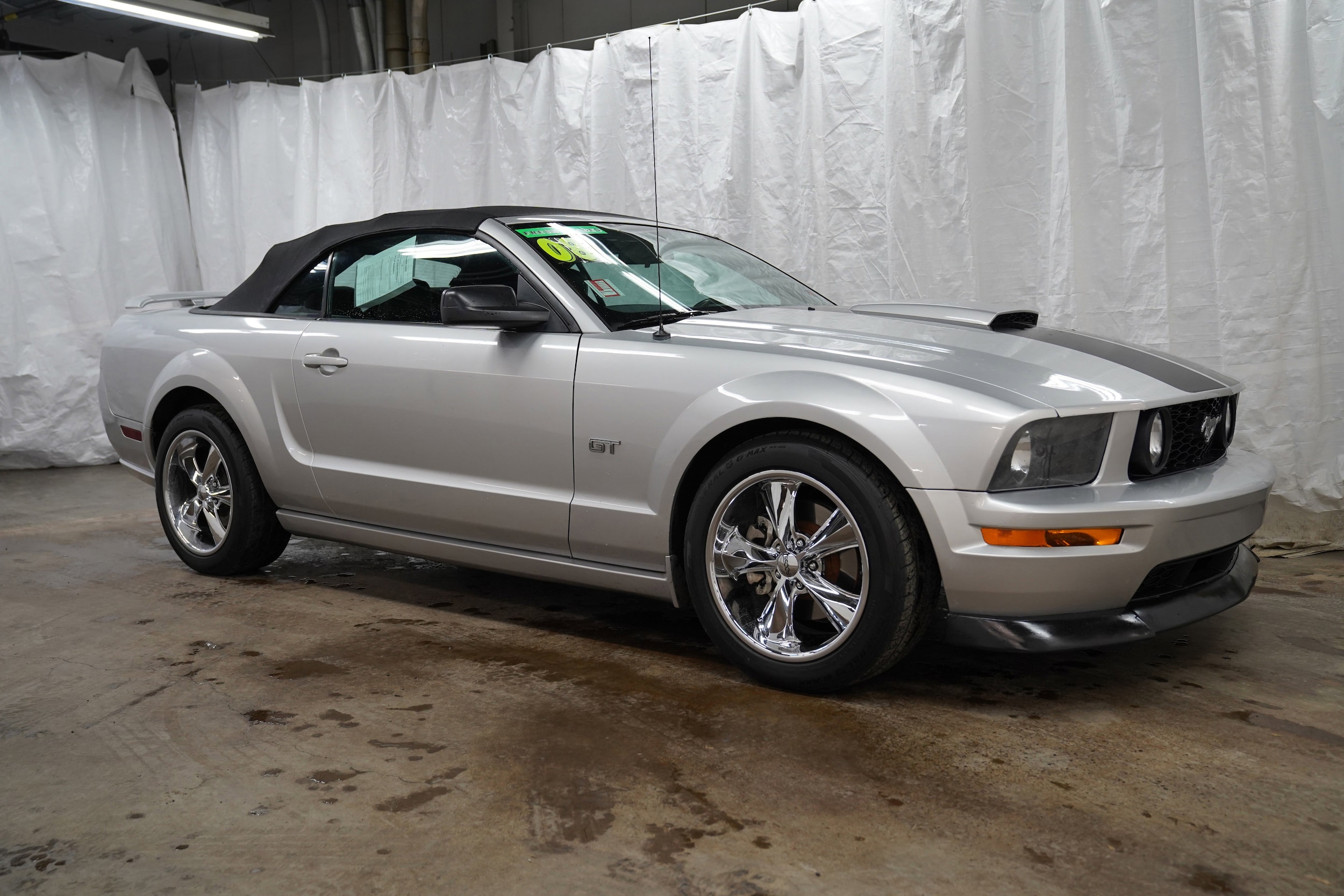 2008 Ford Mustang Mach 1's photo