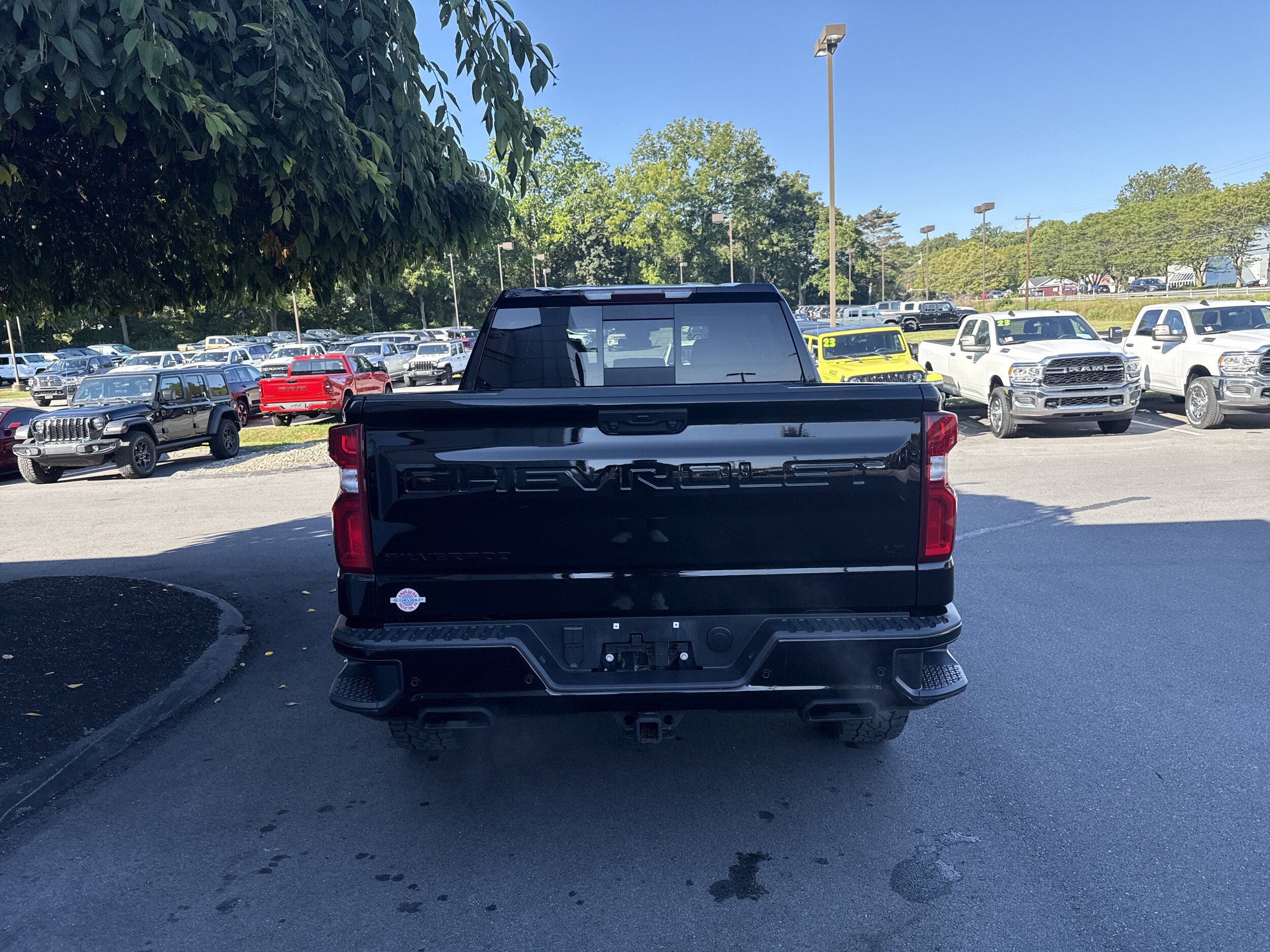 2022 Chevrolet Silverado 1500 LT Trail Boss photo 4