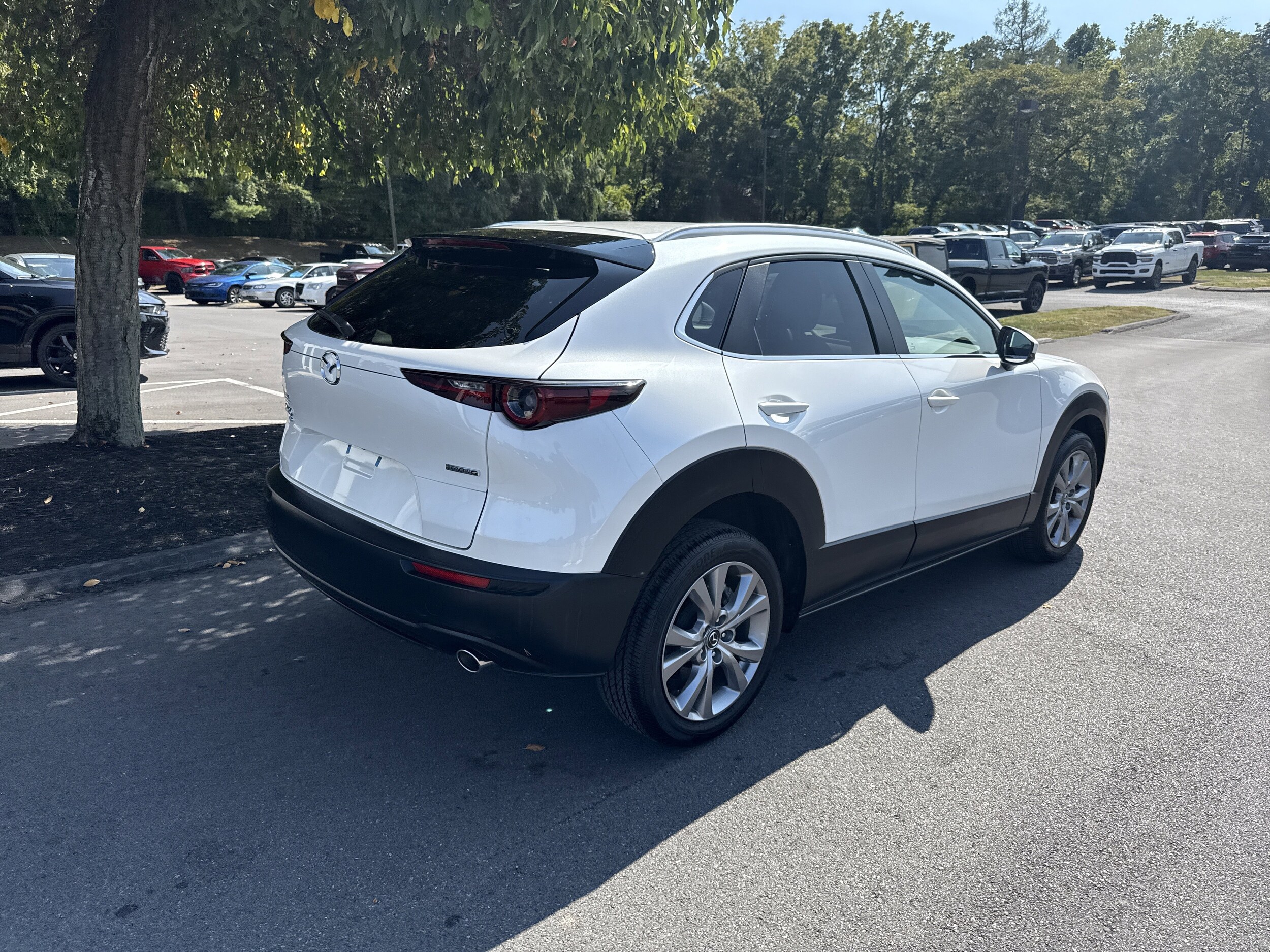 2023 Mazda CX-30 2.5 Select photo 3