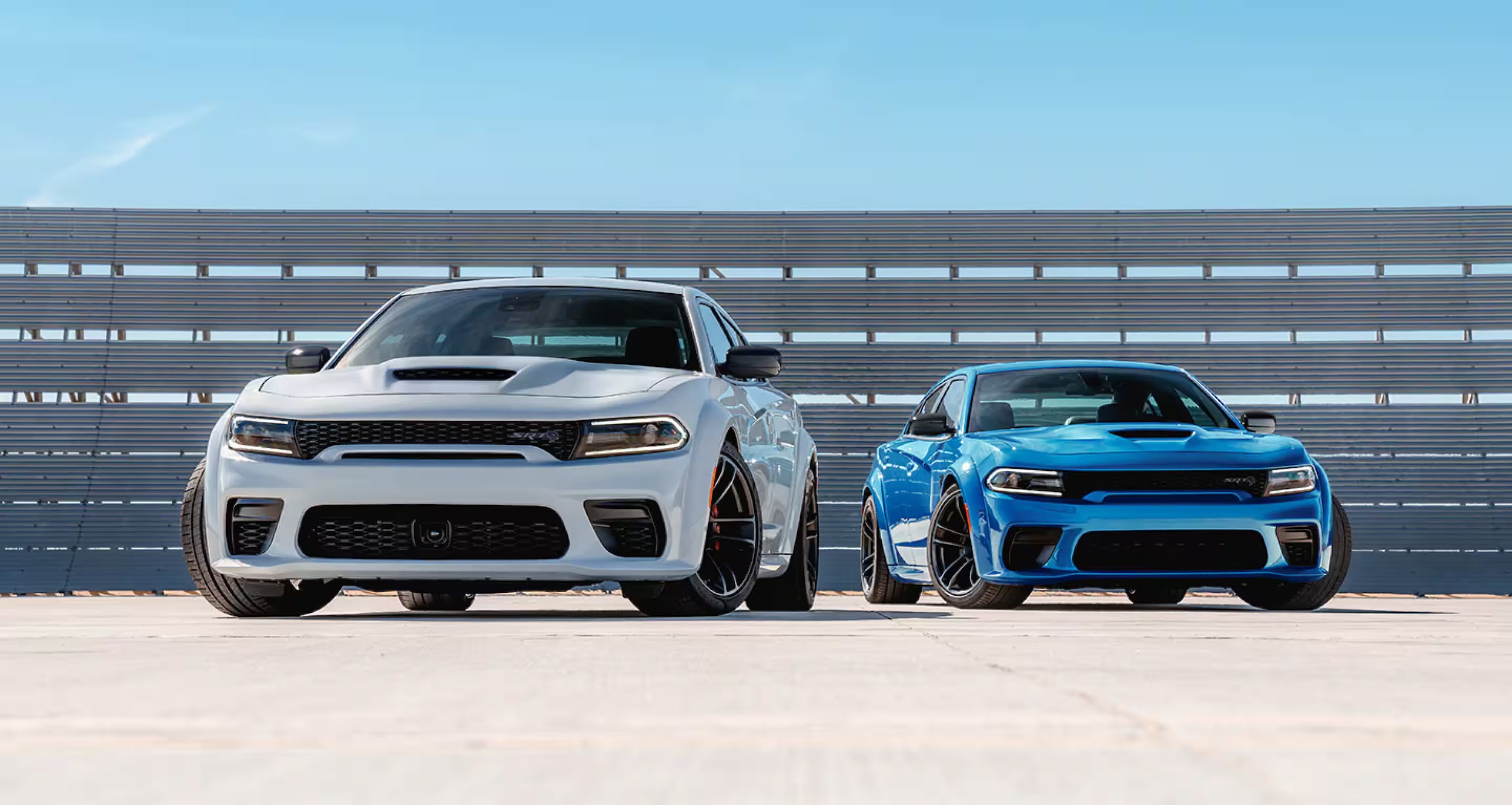 dodge-charger-challenger-duo-front.png