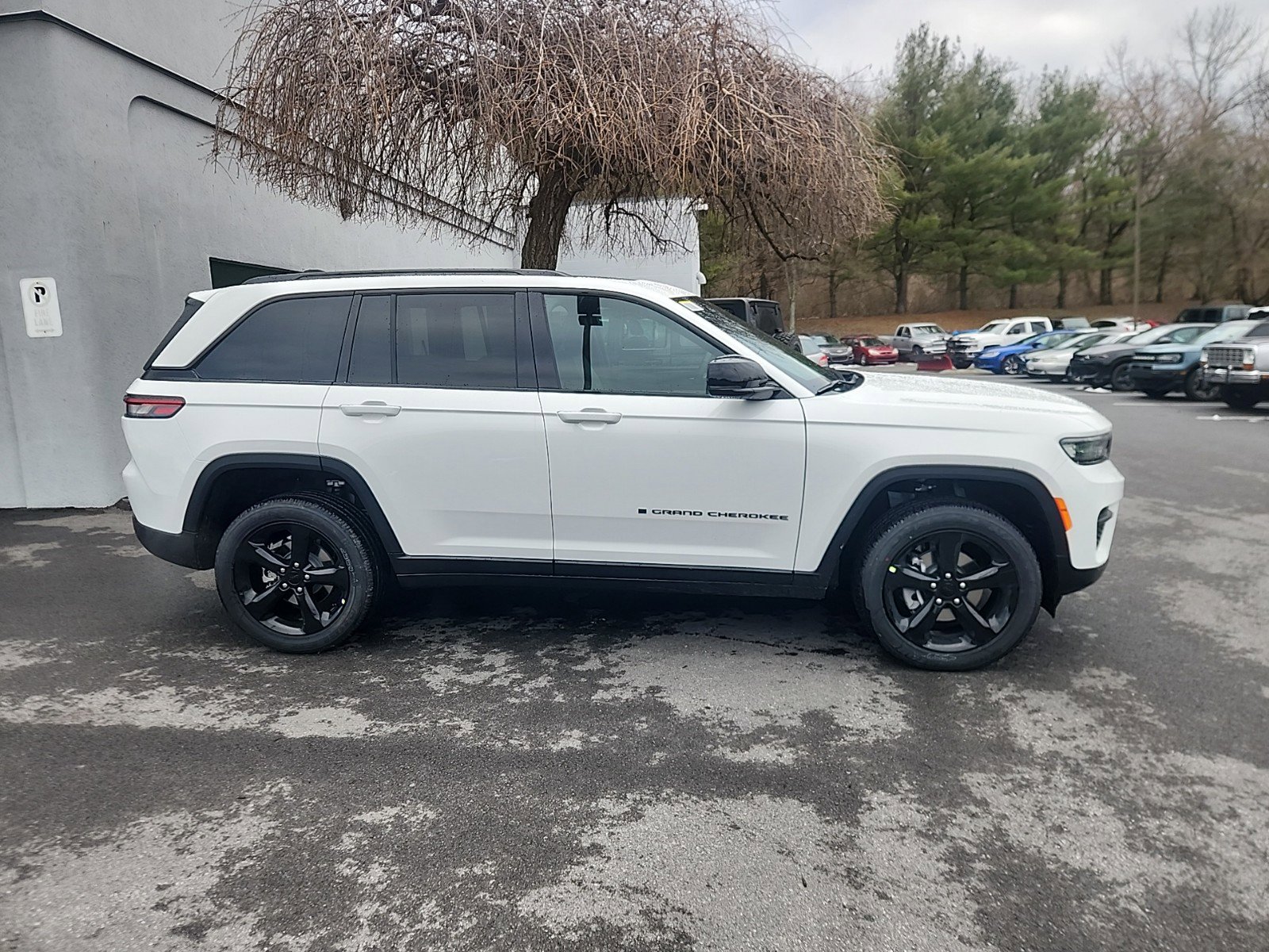 2025 Jeep Grand Cherokee Altitude X photo 2