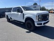  Ford Super Duty F-250 SRW