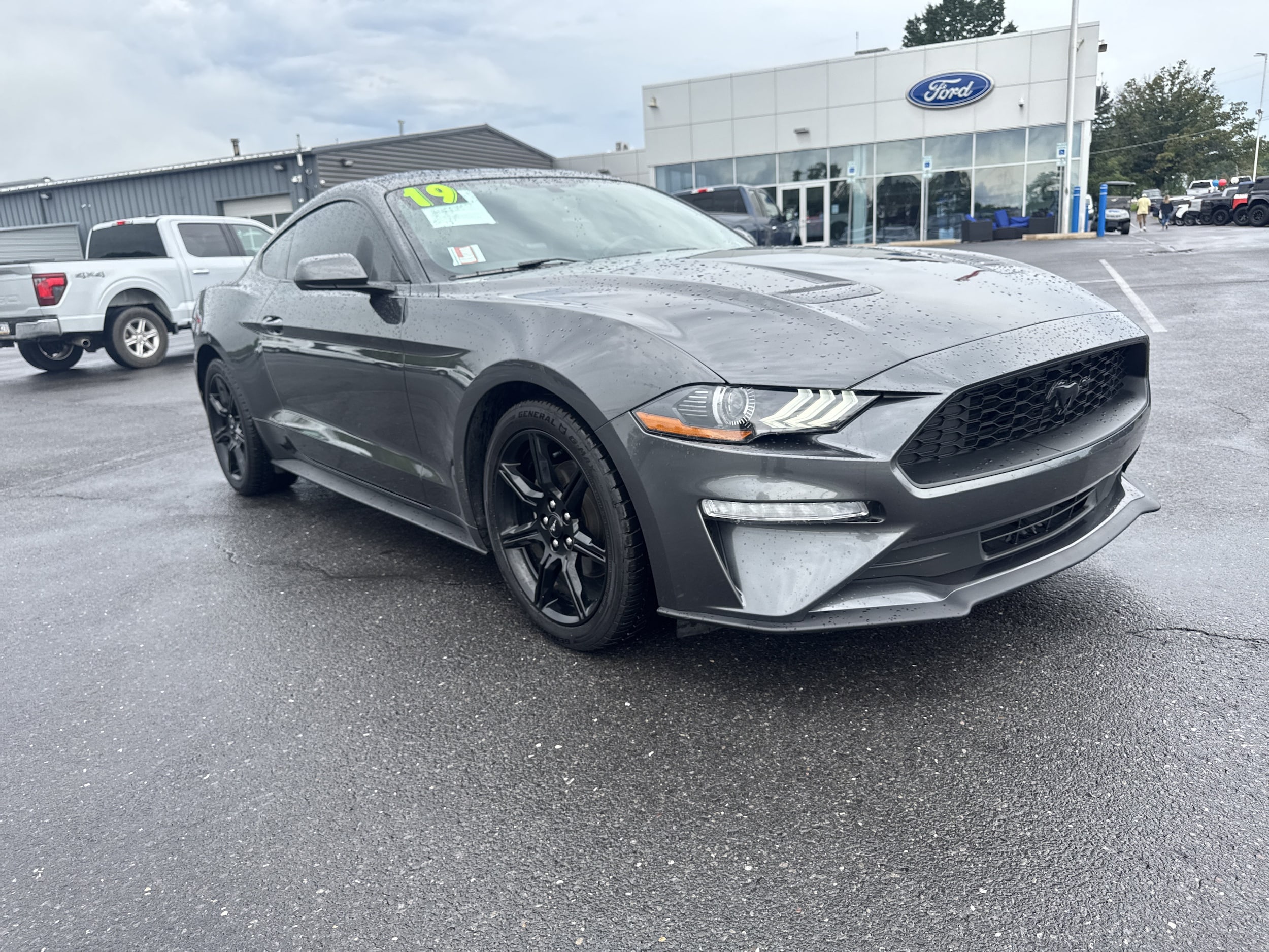 2019 Ford Mustang