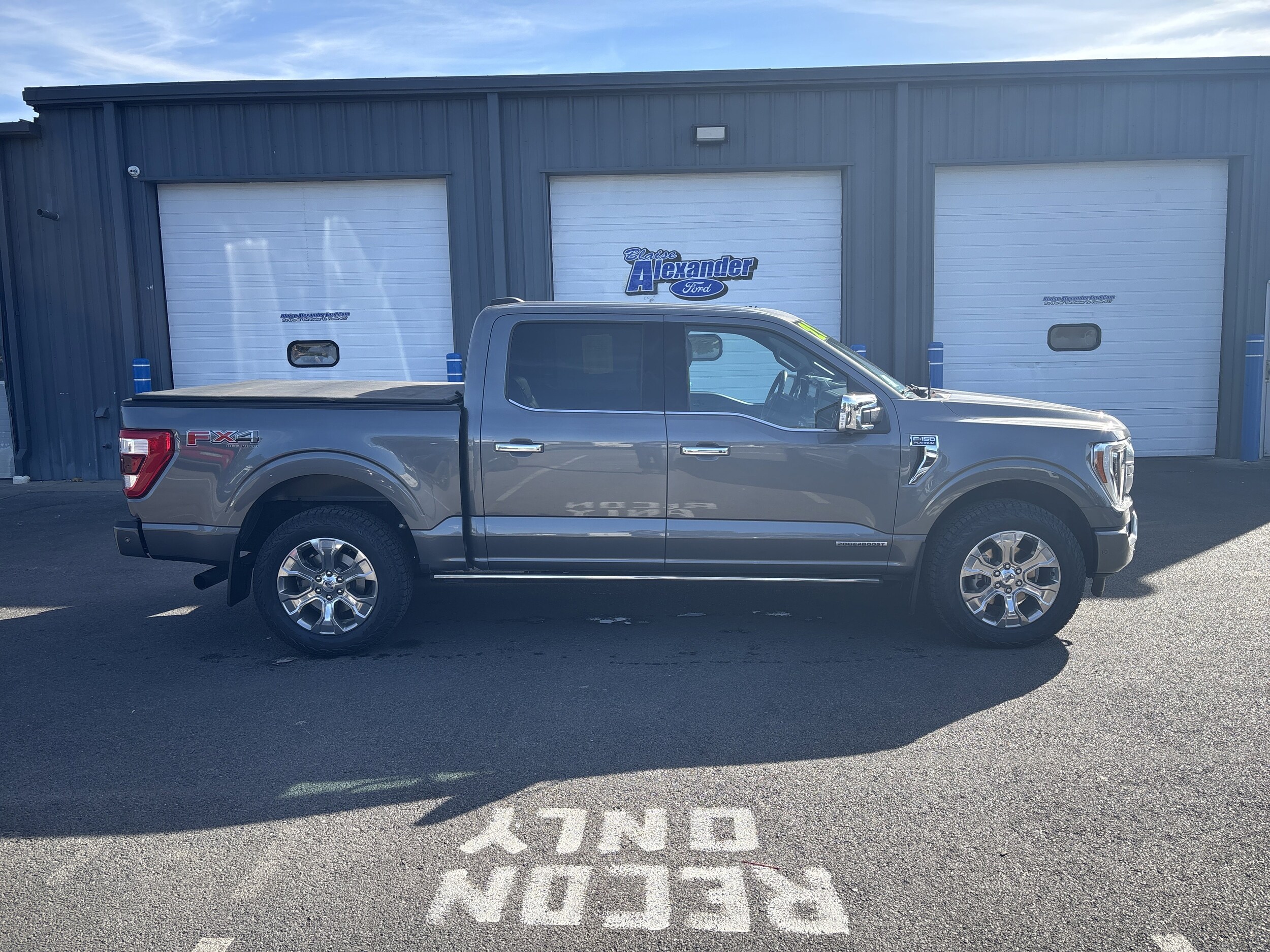 2021 Ford F-150 Platinum photo 2