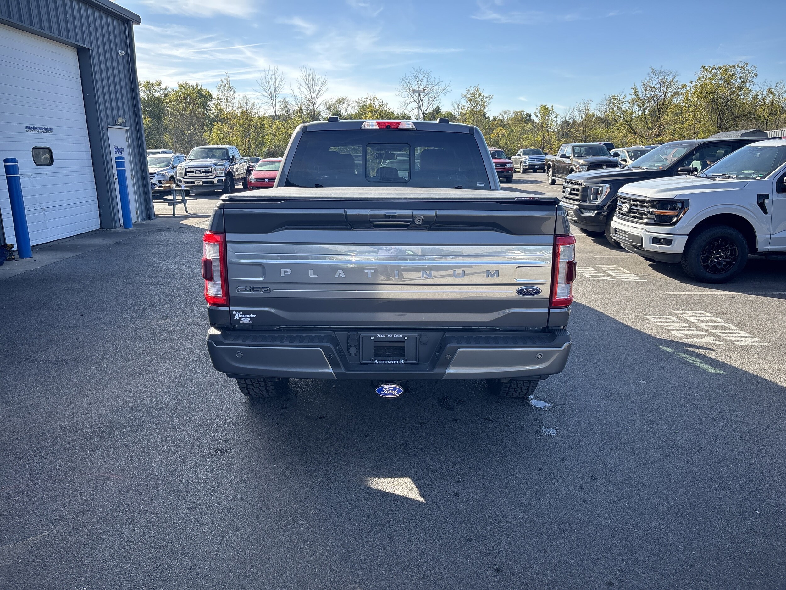 2021 Ford F-150 Platinum photo 4