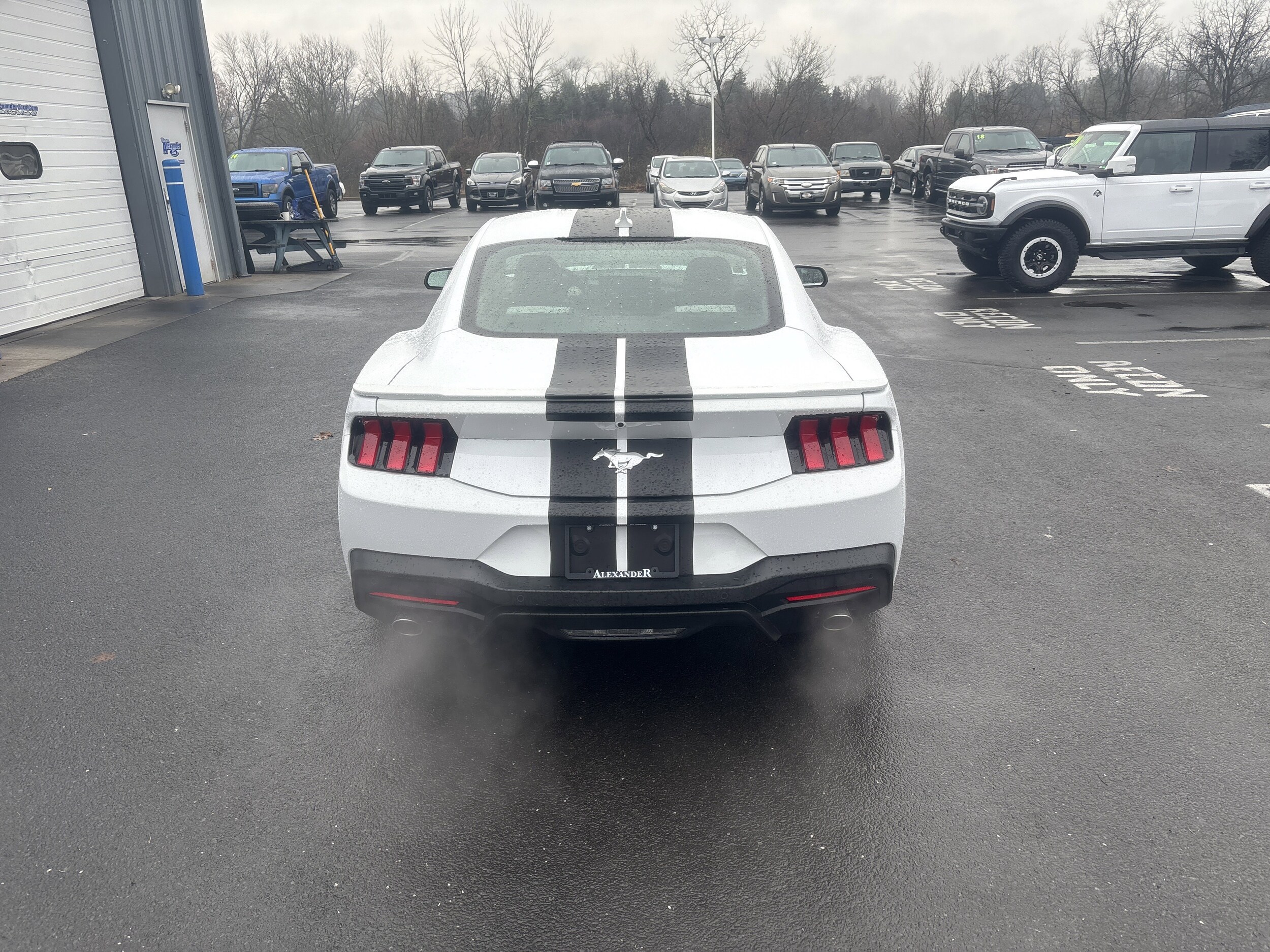 2024 Ford Mustang EcoBoost photo 4