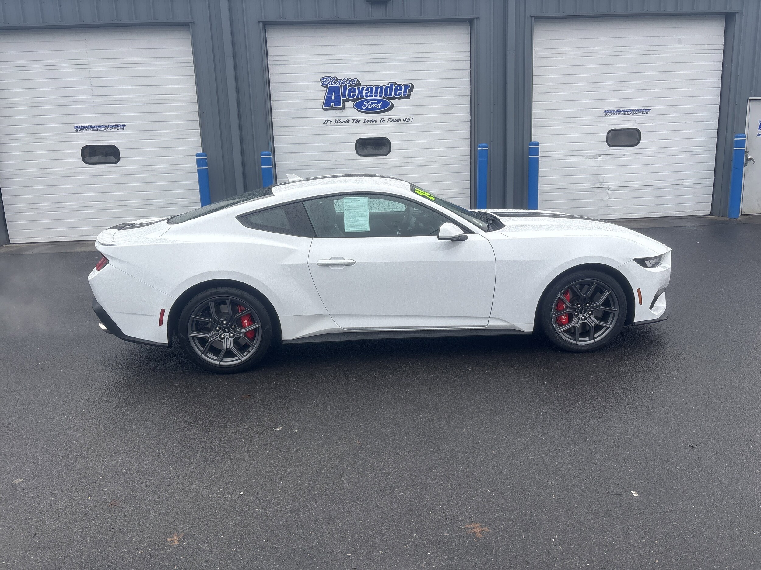 2024 Ford Mustang EcoBoost photo 2