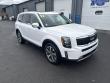 Used 2022 Kia Telluride SX SUV