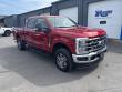 Used 2024 Ford Super Duty F-350 SRW  Truck Crew Cab