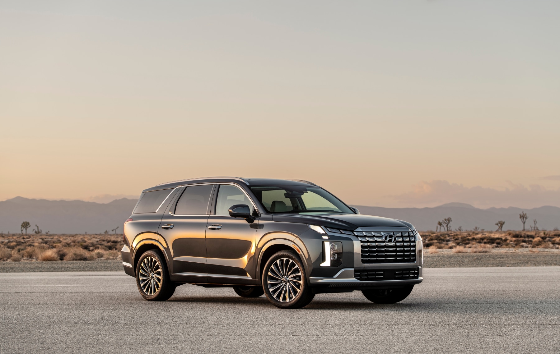 2025-hyundai-palisade-stoic-pose.png