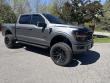 Used 2024 Ford F-150 XLT XLT 4WD SuperCrew 5.5 Box