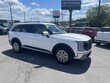  Hyundai Palisade Hybrid