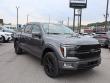 Used 2025 Ford F-150 Platinum Platinum 4WD SuperCrew 5.5 Box