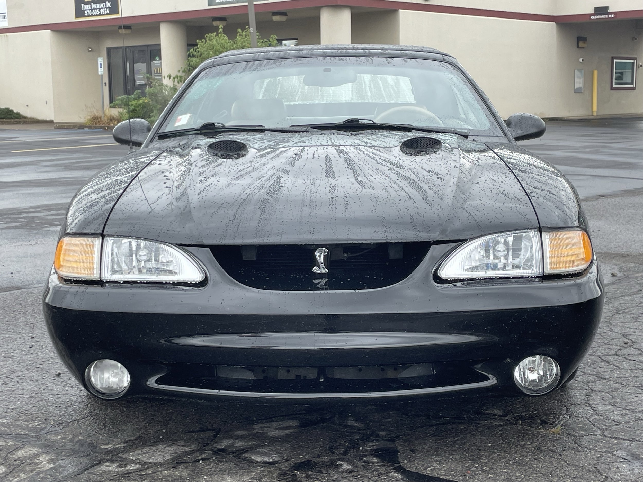 View 9