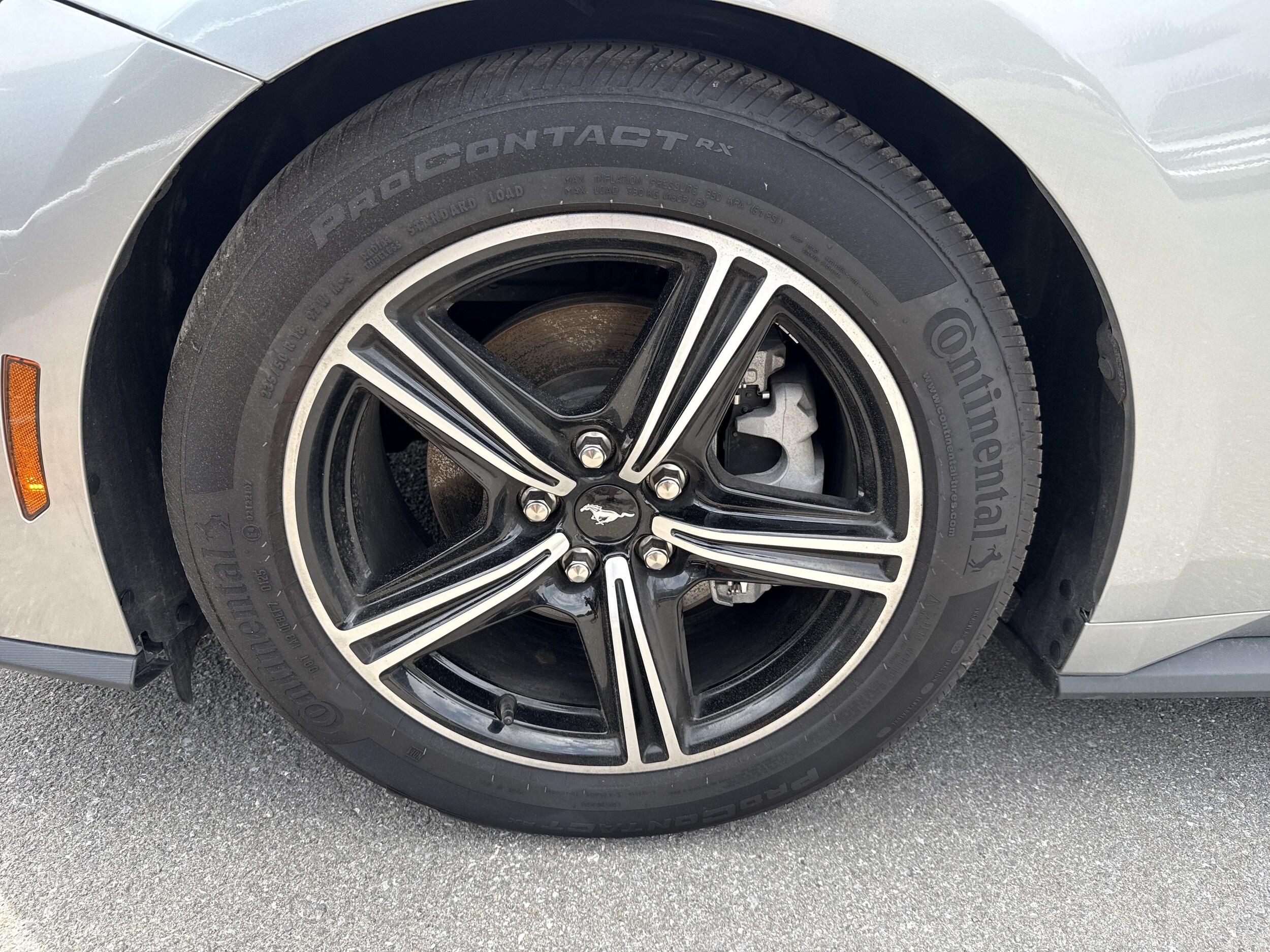 2025 Ford Mustang EcoBoost Premium - Photo 11