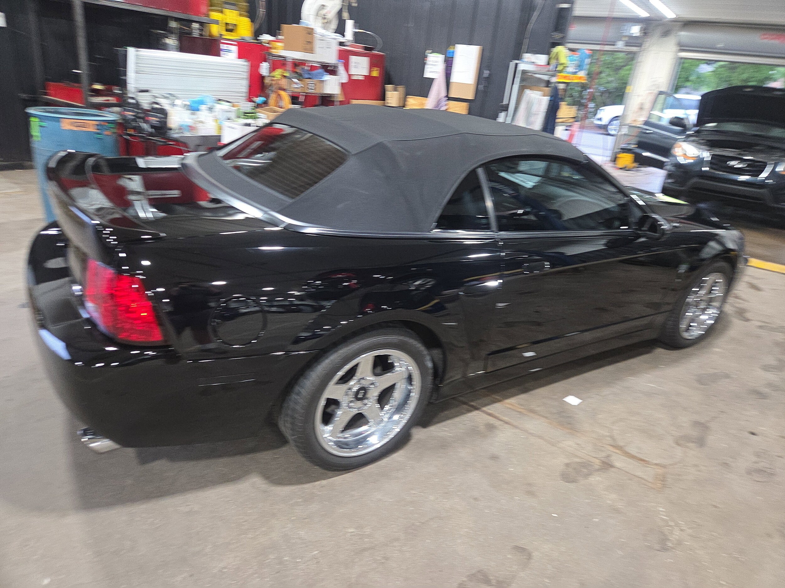 2004 Ford Mustang Cobra Convertible photo 3