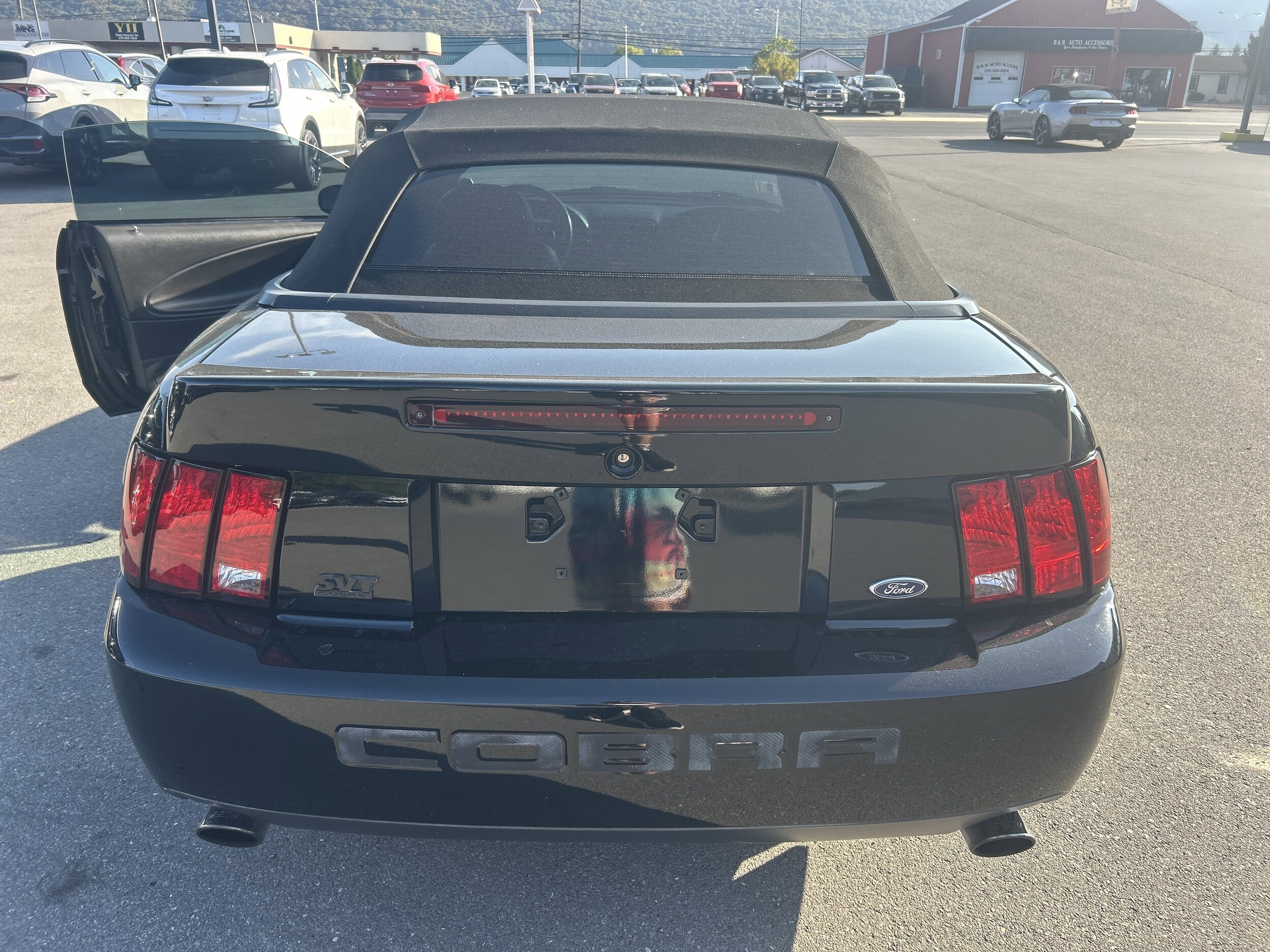 2004 Ford Mustang Cobra Convertible photo 2