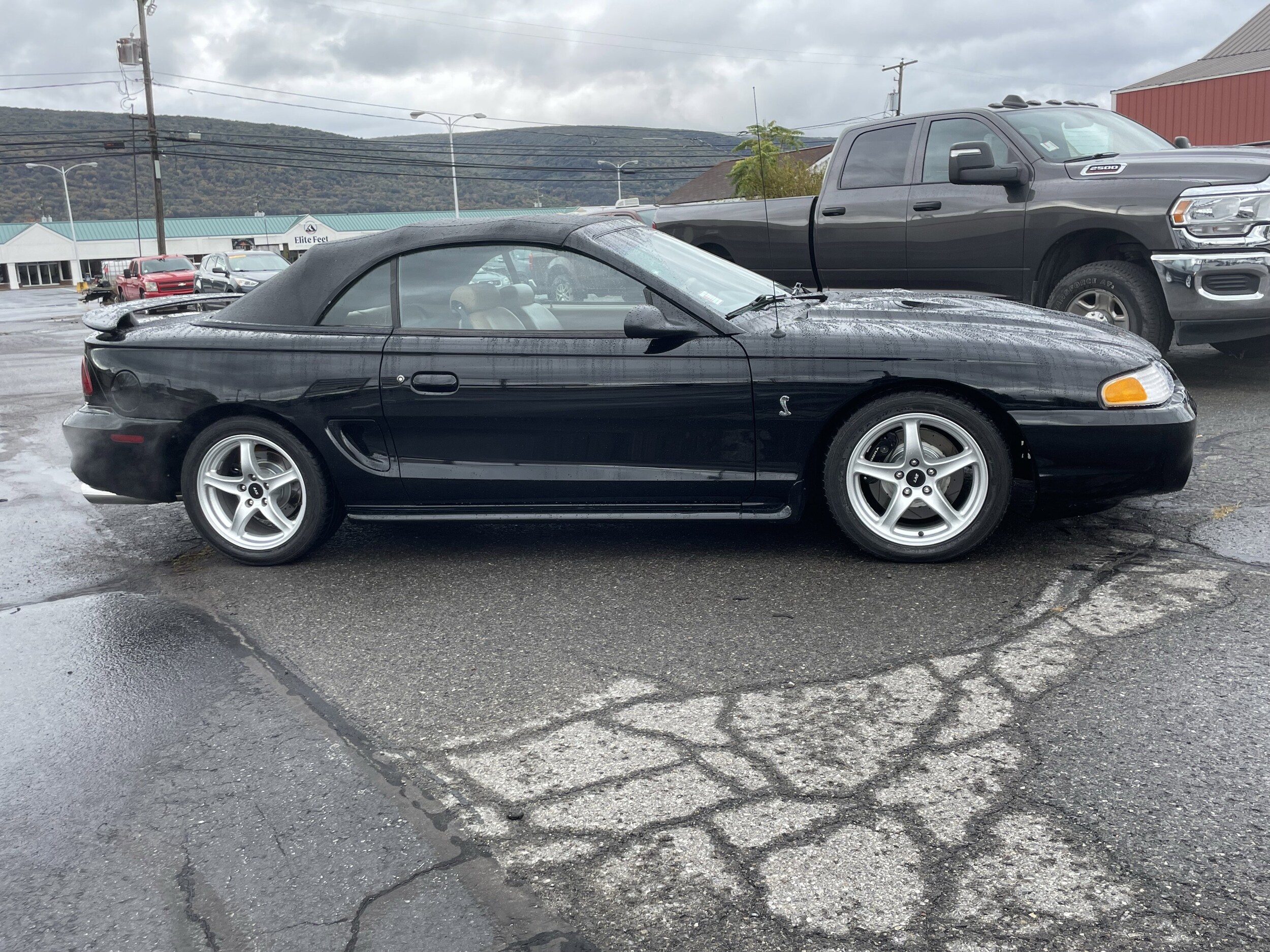 1998 Ford Mustang Cobra Convertible photo 2