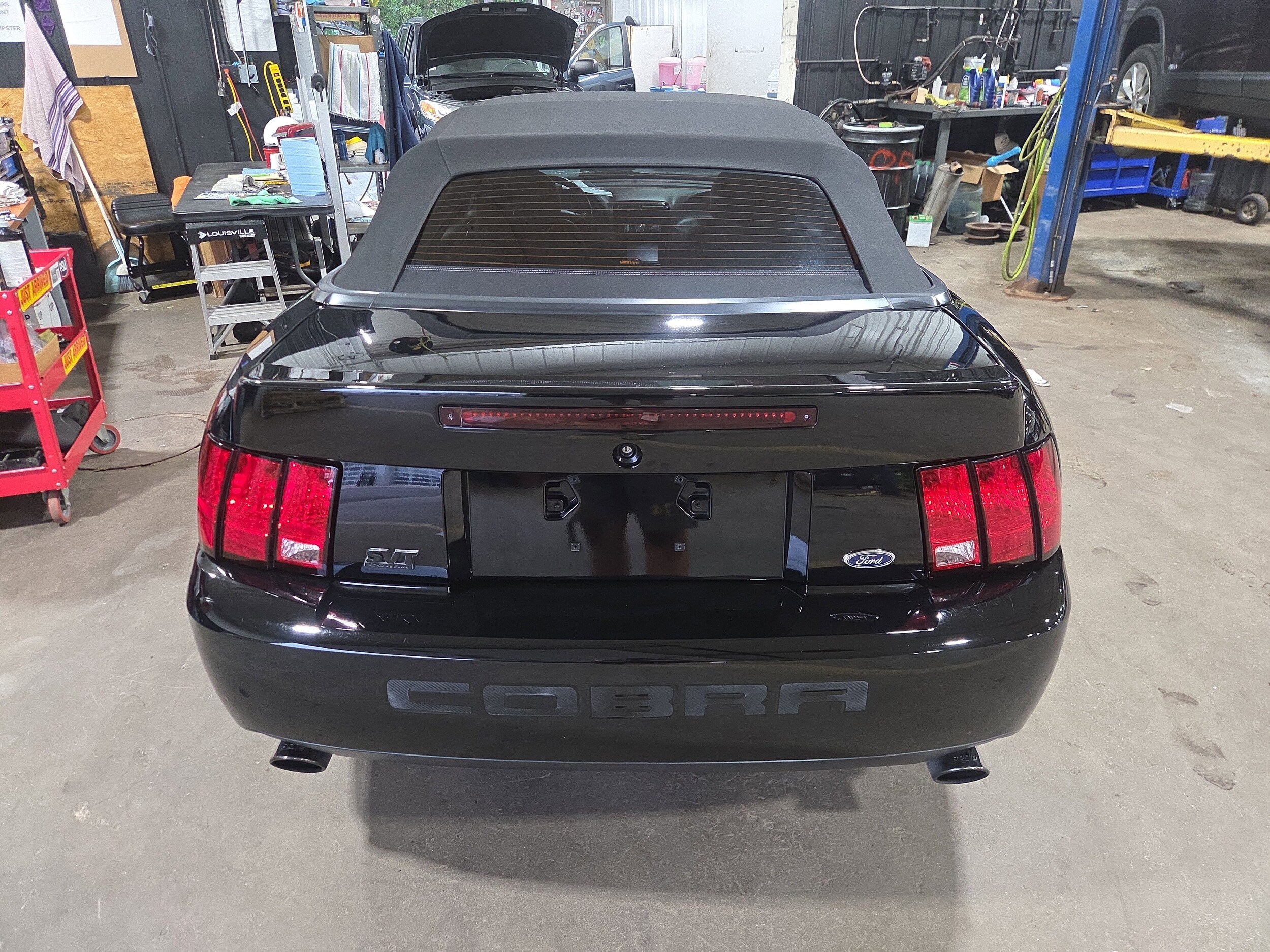 2004 Ford Mustang Cobra Convertible photo 4