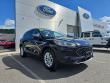 Used 2022 Ford Escape SE SUV