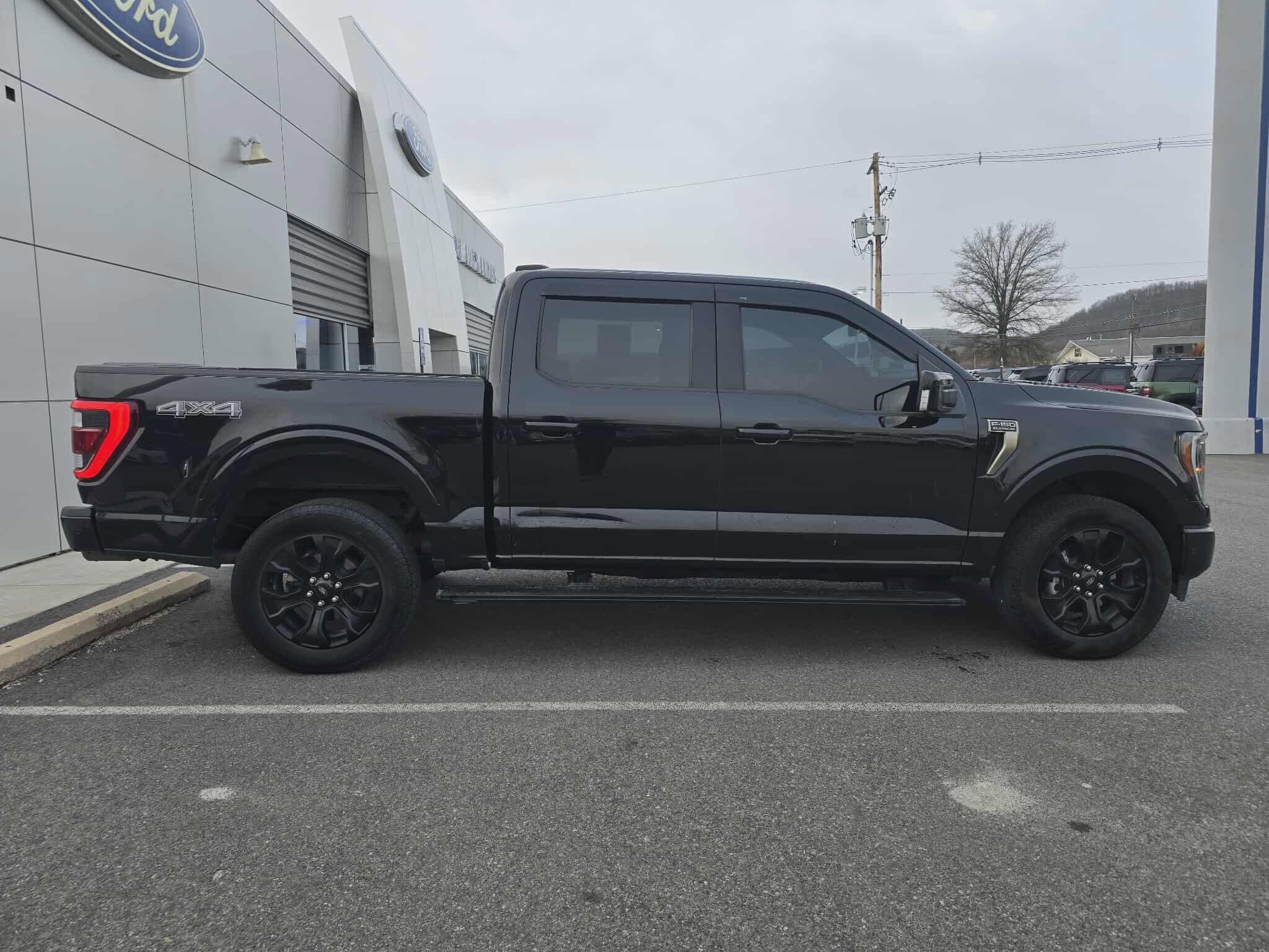 2023 Ford F-150 Platinum photo 2