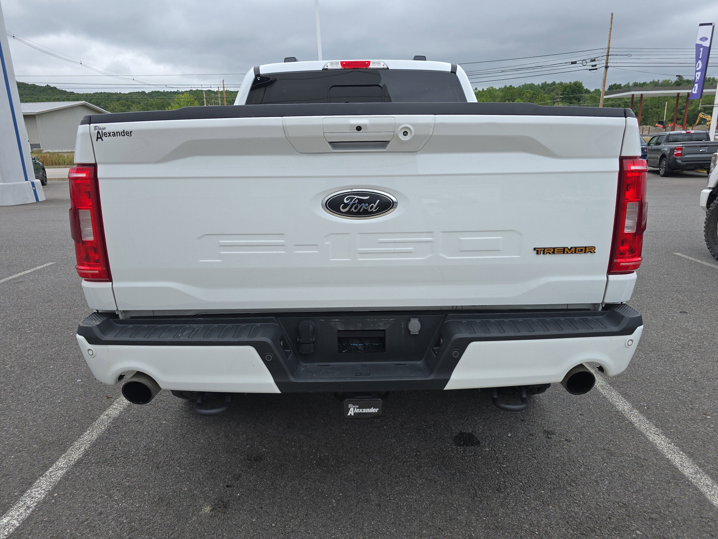 2023 Ford F-150 Tremor photo 4