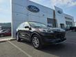Used 2022 Ford Escape SE SUV